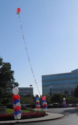 <p style="text-align:center">the cost is $150 for each 5 foot balloon and $20 for the 100' pennant</p> 5' balloon with 100' pennant