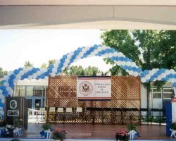 <p style="text-align:center">the cost is $520 for this 260 balloon arch of about 44 feet</p> 12" spiral balloon arch