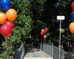 <p style="text-align:center">the cost is $18 for each of these bunches of 6 balloons</p> 17" balloon bunches