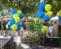 <p style="text-align:center">the cost is $45 for each of these bunches of 15 balloons</p> 17" balloon bunches