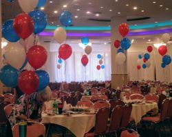 <p style="text-align:center">the cost is $9 for each of these bunches of 3 balloons</p> 17" balloon bunches