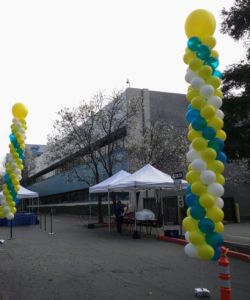 <p style="text-align:center">the cost is $190 for this column (80 balloon column of about 17 feet with a 36″ topper)</p> 12" balloon column