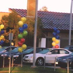 <p style="text-align:center">the cost is $30 for each of these 10 balloon columns</p> 17" balloon column
