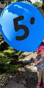 5 foot latex balloons